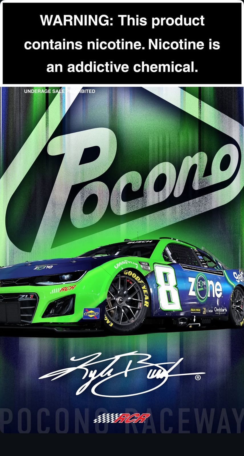 Kyle Busch's No. 8 car's paint scheme for Pocono via RCR racing's Instagram Story